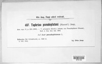 Image Associated With the Occurence